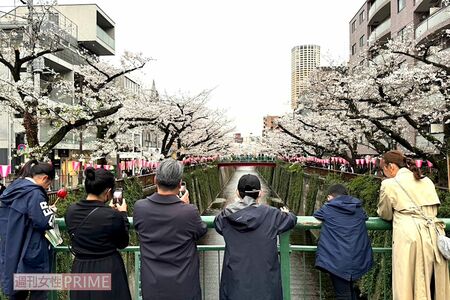 撮影／加藤綾菜