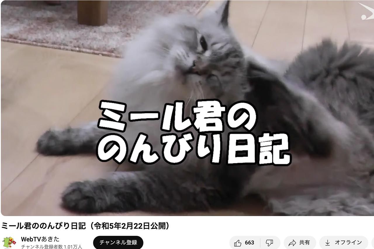 佐竹知事が飼っていたミール君の動画（WebTVあきたより）