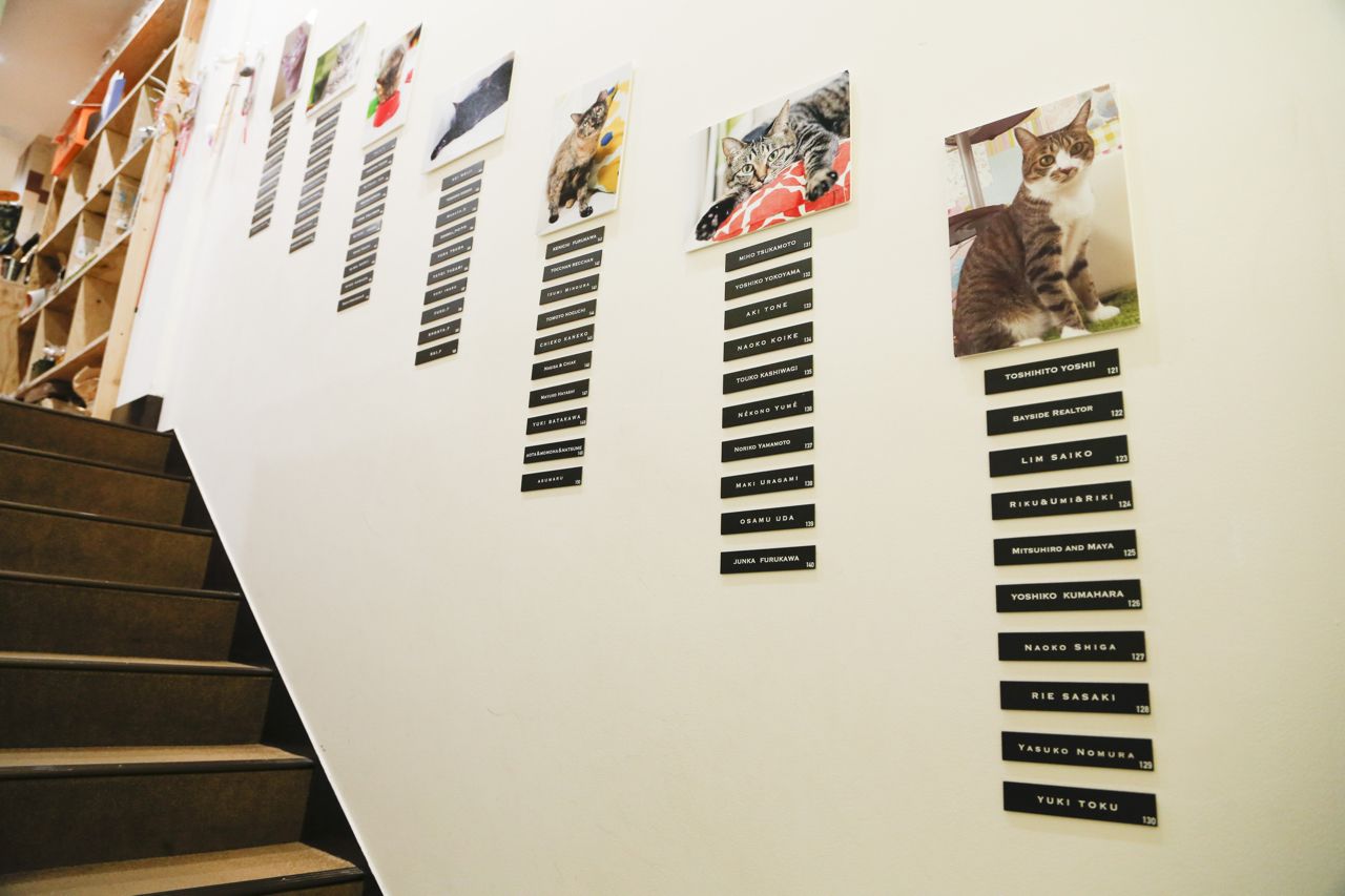 『ネコリパブリック』のねこビルは取材時、1階がおしゃれなカフェバースペース。現在、保護ねこカフェであることをアピールする改装が進行中