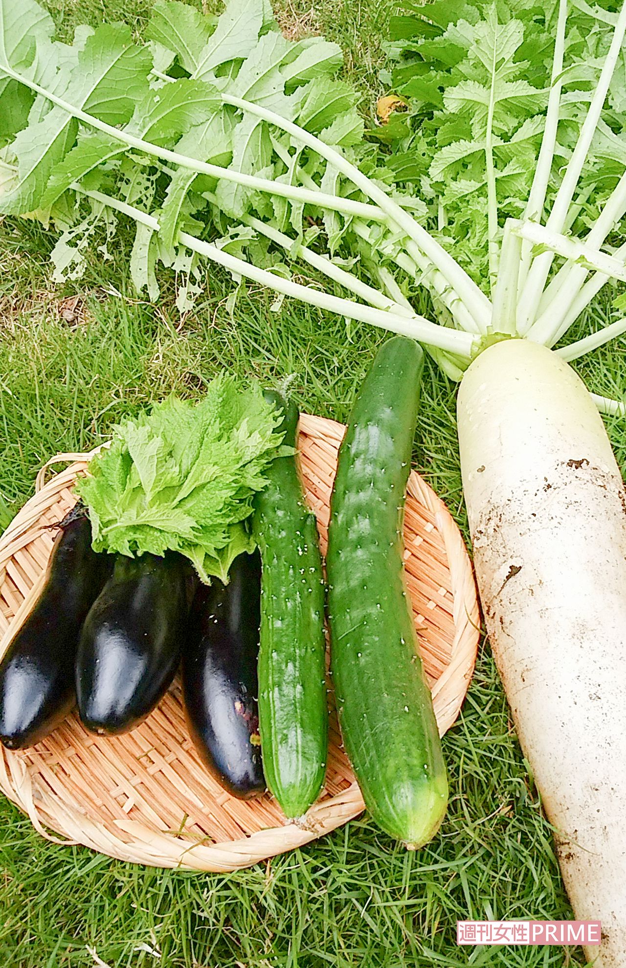 自分の畑で収穫した野菜