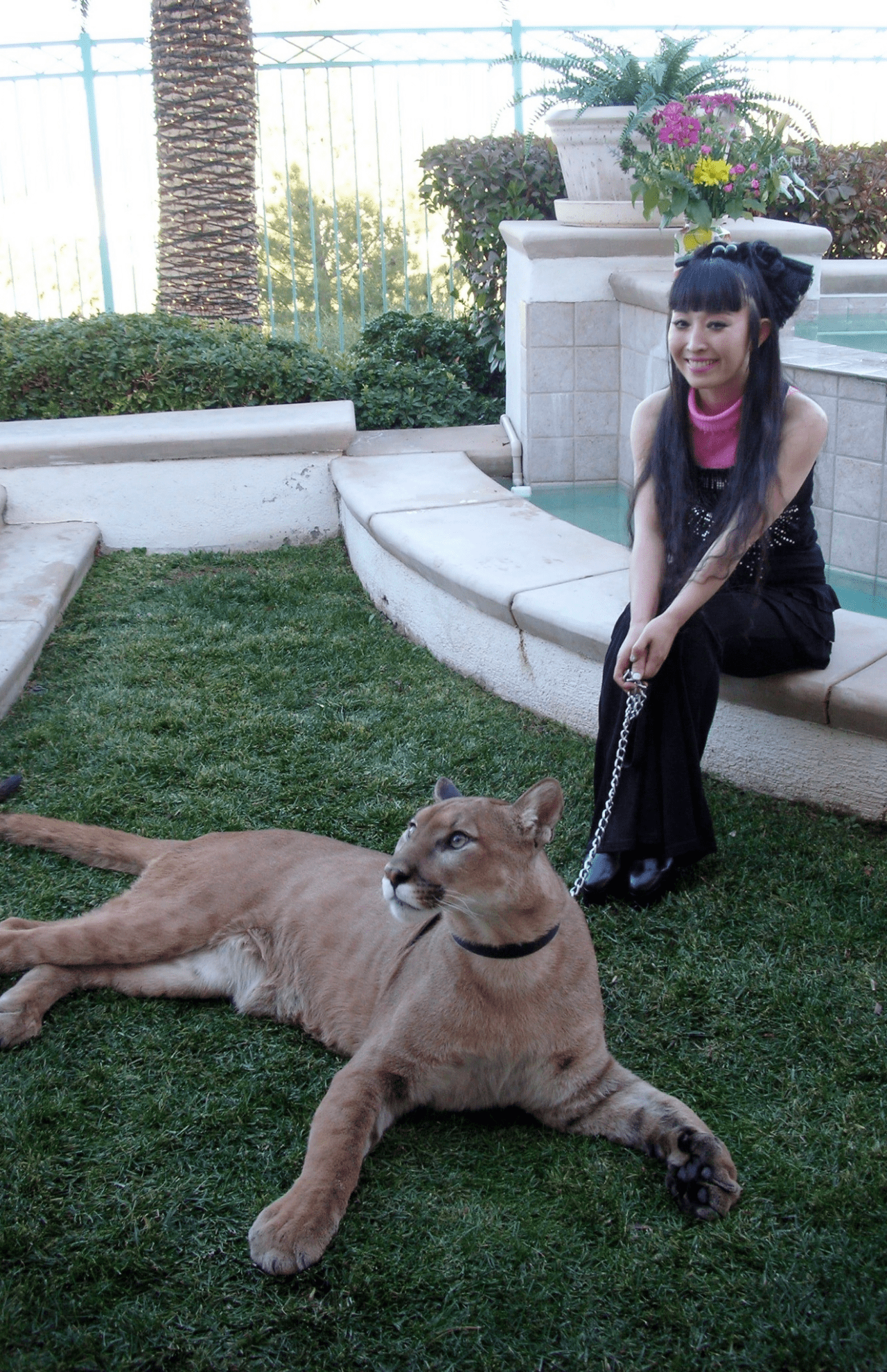 サーバルキャット、ホワイトタイガー、マウンテンライオン……。多種多様の動物を育ててきた