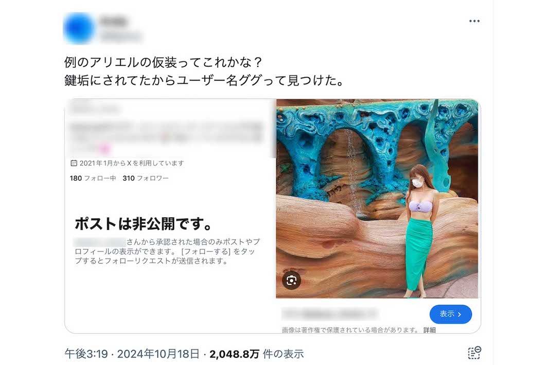 《ルール違反》ではないかと騒がれたアリエル仮装者のアカウントは、現在非公開になっている（Xより）