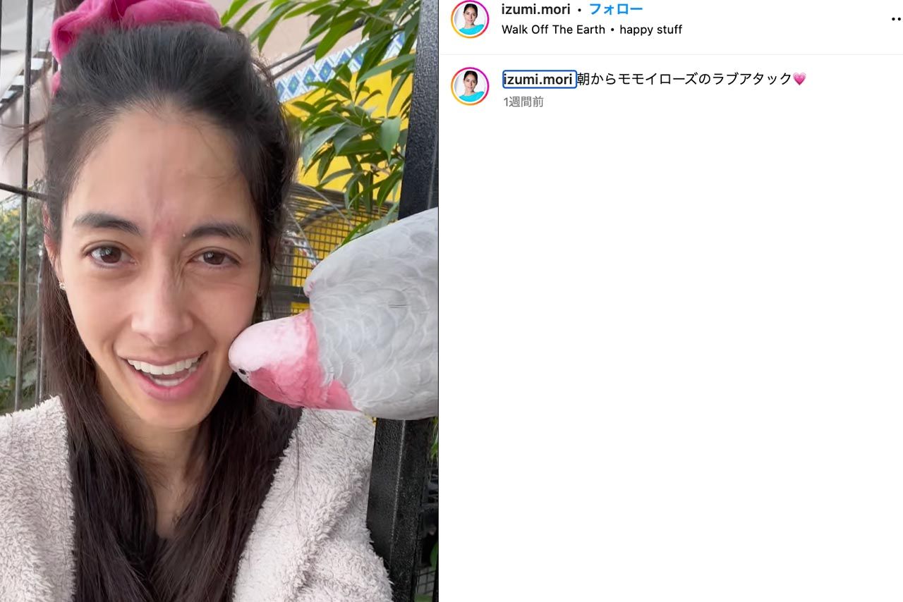 モモイロインコと触れ合う森泉（森泉公式Instagramより）