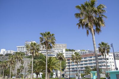 シニアも稼げる「リゾートバイト」で高待遇の実態、インバウンドで「慢性人手不足」観光地からラブコール