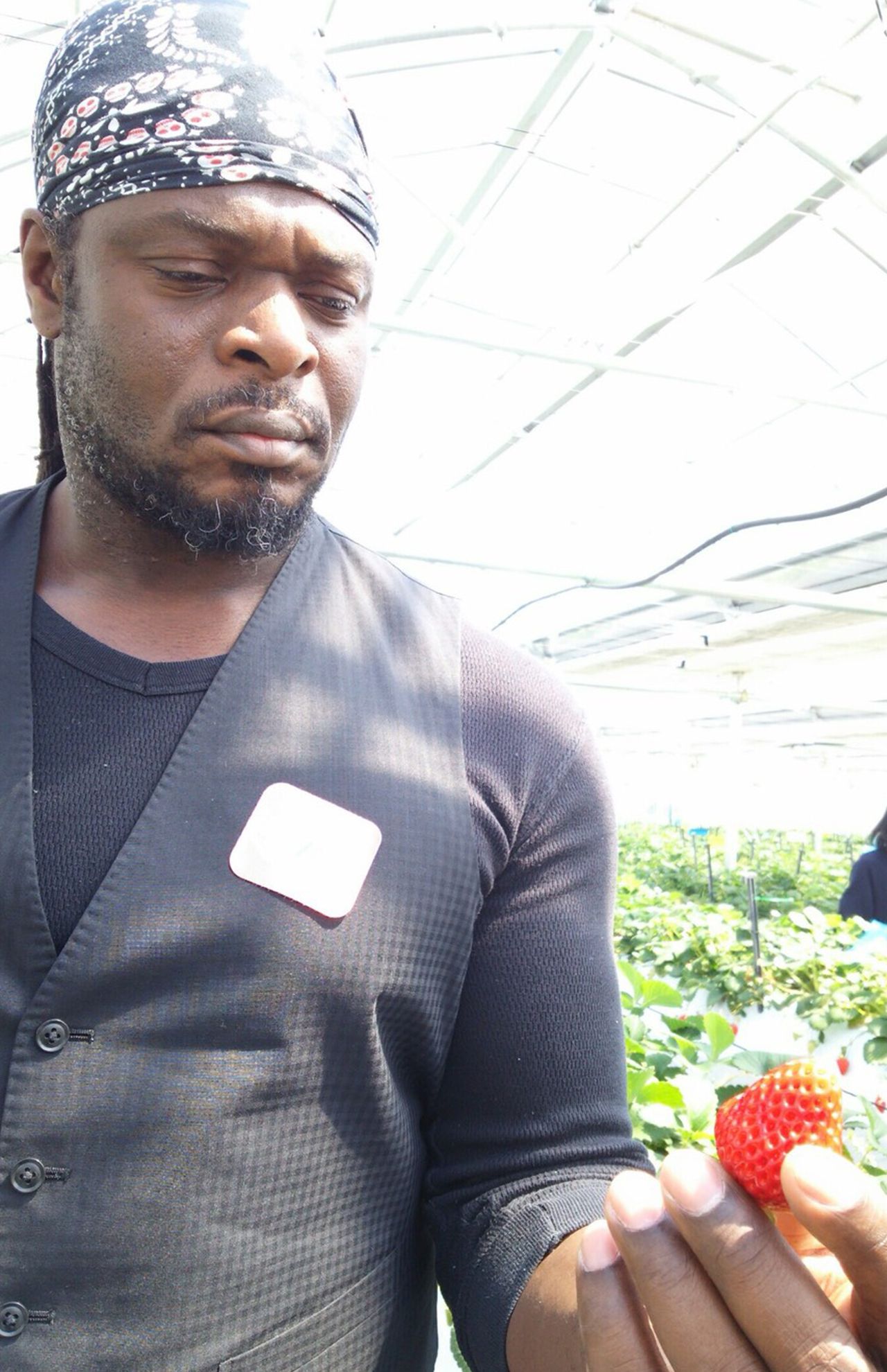 ベルナール・アッカ