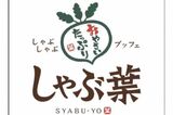 『しゃぶ葉』皿が透けるほど薄い“ステルス肉”を謝罪も「食べやすくてよかった」…