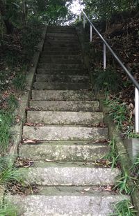 男厄除坂は男の厄年を払うためにつくられた坂で総数44段。この上には、大師堂がある