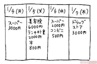 100円単位のゆるっと家計簿を　イラスト／赤松かおり
