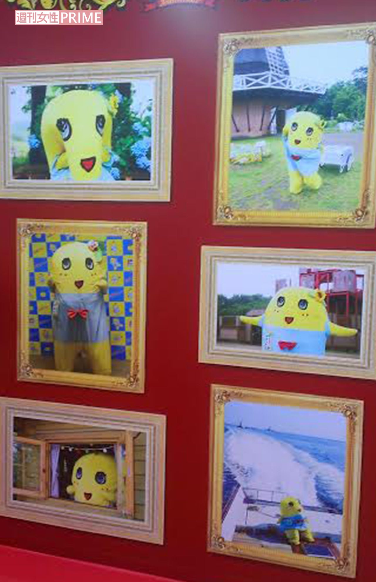 なぜか、近所の公園で撮られた写真が展示してある