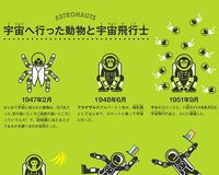 人でも猿でも犬でもない！世界最初の宇宙飛行士はブンブンうるさいアイツら！