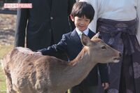 【中学ご卒業】悠仁さま「葉山でよちよち歩き」「凛々しい袴姿」「薪割りショット」秘蔵写真で振り返る！