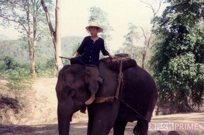 タイのチェンダオでゾウに乗る哲夢さん。動物園経営でも小百合さんを支えていくはずが……