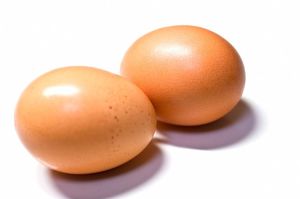 ※画像はイメージです