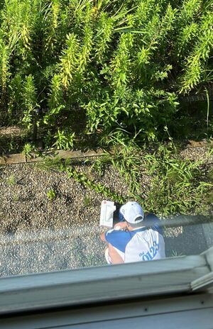 Twitterに投稿された画像。男性が用を足す姿が撮られた（現在は削除済み）