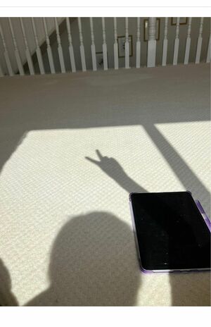 3月7日ブログに“背中干し”の様子をアップする松居一代