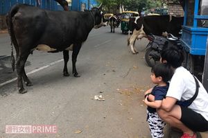 北村研二さん（仮名）　1984年生まれ。輸送機器関連メーカーに勤務。2013年からインドに駐在している。北インド在住を経て、現在は南インド・カルナータカ州で、妻、長男と暮らす