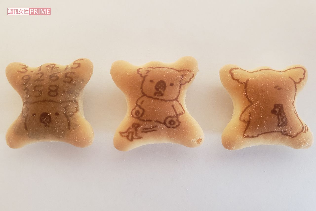 左から「円周率コアラ」「おまぬけコアラ」「背中にチャックコアラ」