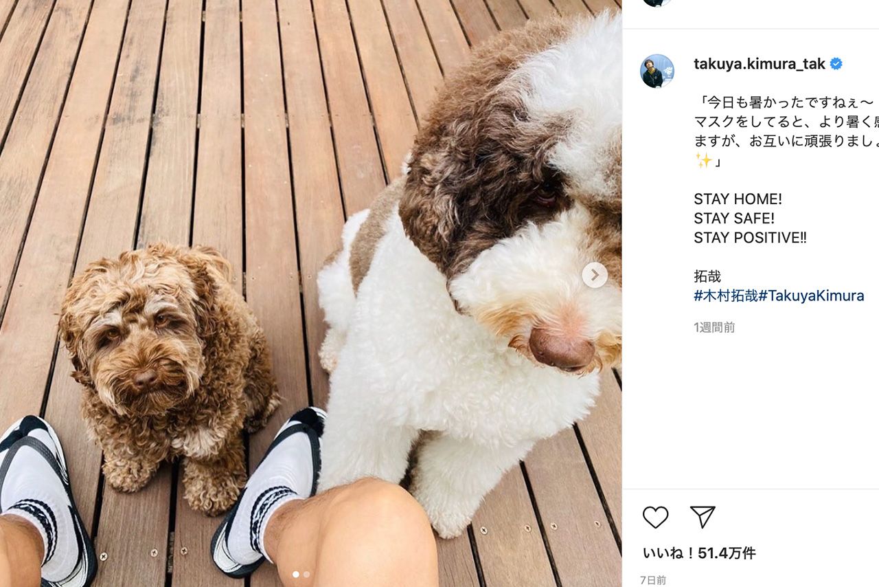 木村拓哉の愛犬・エトワール（右）とアムール（@takuya.kimura_takより）