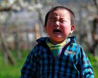 フィフィ 再虐待の可能性も、なぜ子どもを親元へ返すのか