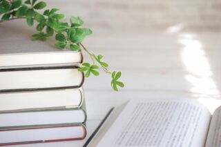 ※写真はイメージです