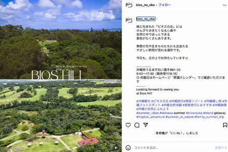 ジャングルを堪能できるうるま市のビオスの丘（公式Instagramより）
