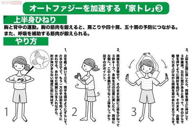 オートファジー活性化の家トレ〈3〉【上半身ひねり】（イラスト／ますみかん）