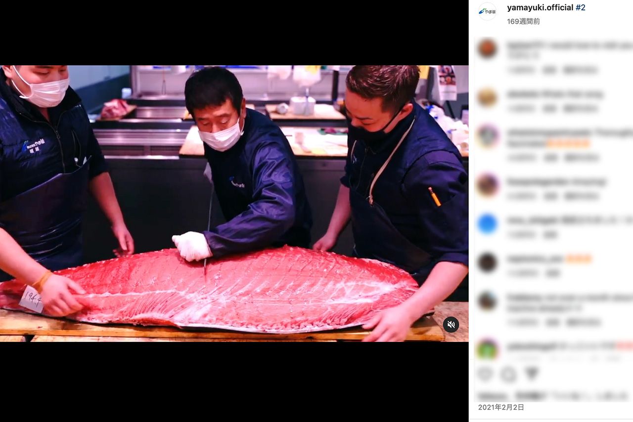 マグロを捌く『やま幸』社長・山口幸隆氏（公式インスタグラムより）