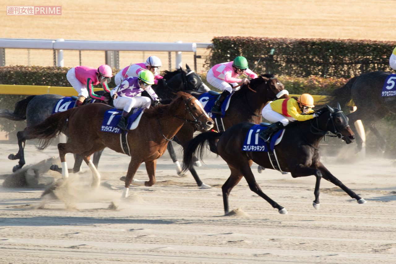 24年は3兆3337億の売り上げがあった中央競馬（写真はイメージです）