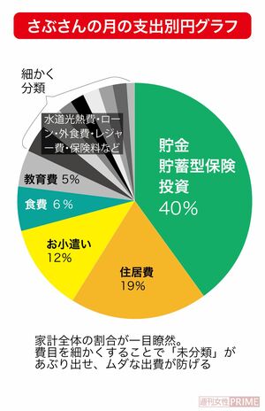 さぶさんの月の支出別円グラフ