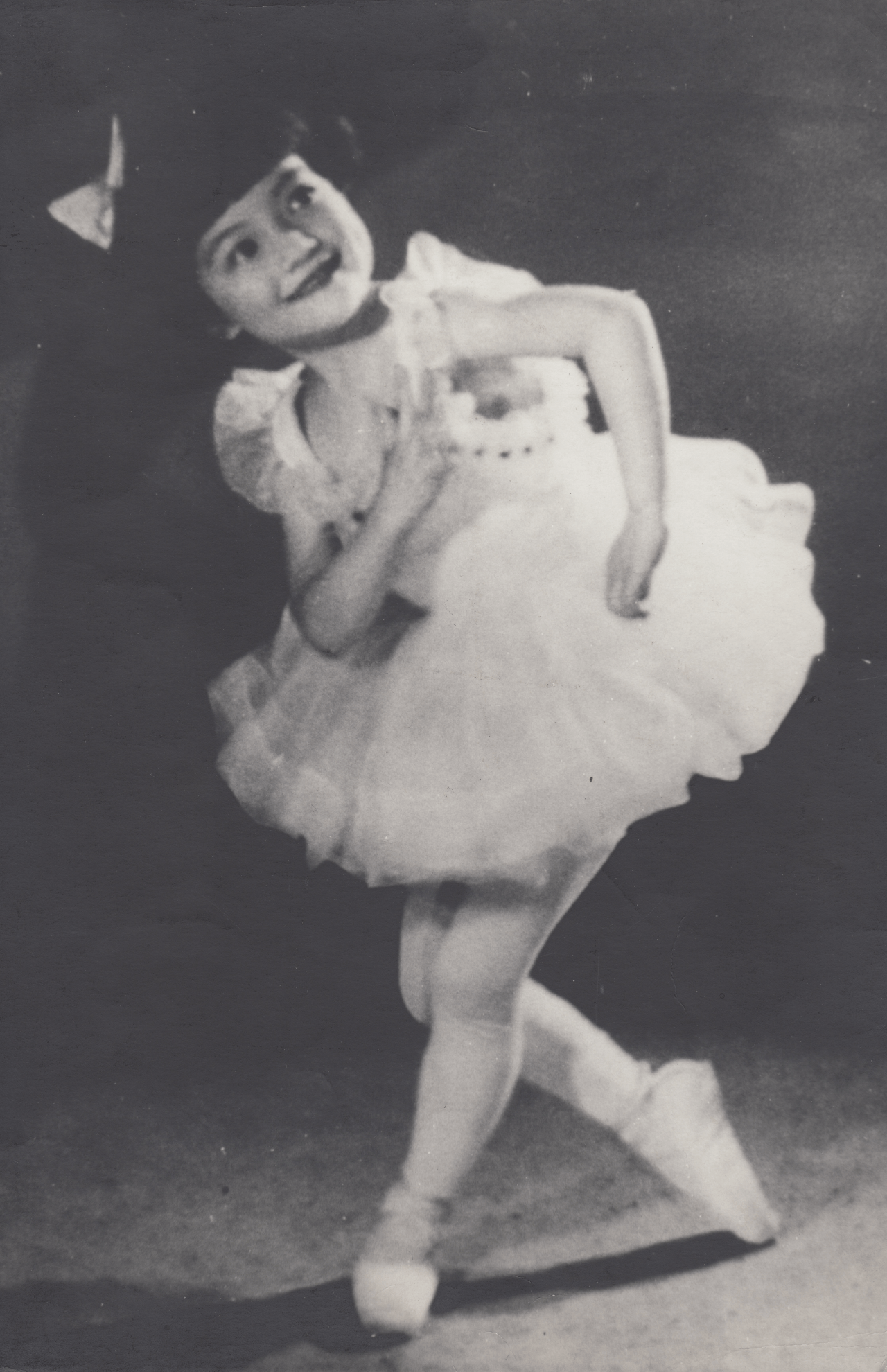 豆バレリーナは一家を支える大黒柱でもあった