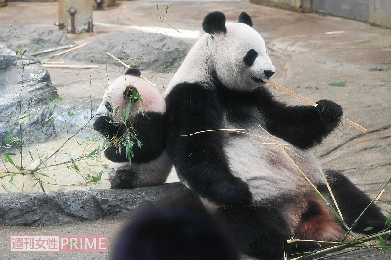 お母さんのシンシンと背中合わせでもぐもぐタイム