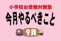 ＜小学校受験のお作法・9月＞願書投函の時間帯攻防戦、ベストタイミングはいつ？