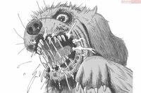 狂犬病、人食いバクテリア、破傷風…コロナだけじゃない恐怖の感染症と予防法