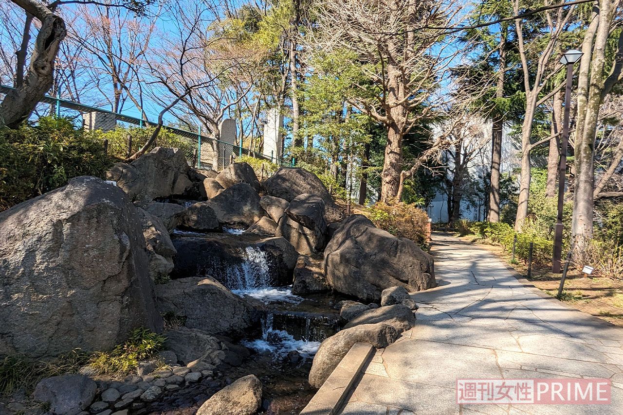 撮影が行われた蚕糸の森公園の池エリア