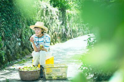東京での生活を経て、財前直見がたどり着いた田舎での暮らしは、とても豊かなものだった　撮影／深澤慎平