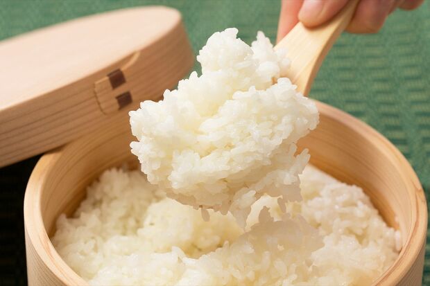 秋田県産あきたこまち10kg（5kg×2）/秋田県大館市●寄付額1万1000円（撮影：コンドウダイスケ）