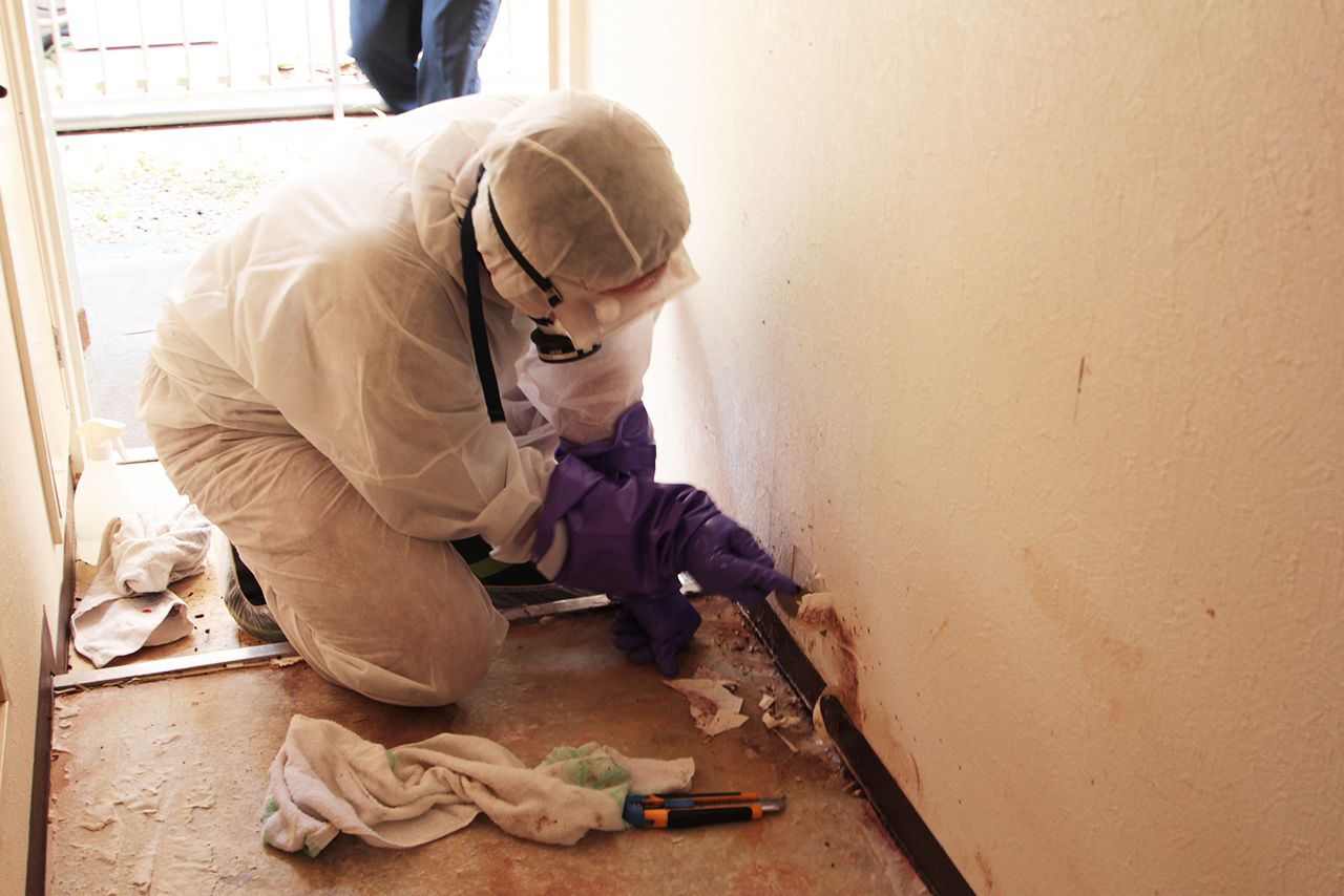 体液などが染みついた部分をはがすスタッフ。清掃後はにおいが消えた