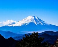 15年の漢字“安”に40代女性「安っぽい国に成り下がった」