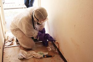 体液などがしみついた部分をはがす特殊清掃のスタッフ（※写真はイメージ）