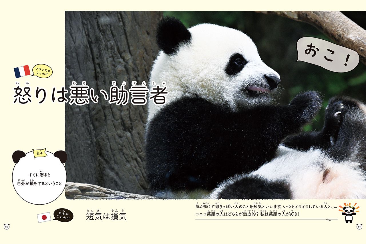 『グローバルな視点を身につけよう　パンダといっしょに学ぶ世界のことわざ』より　撮影／高氏貴博