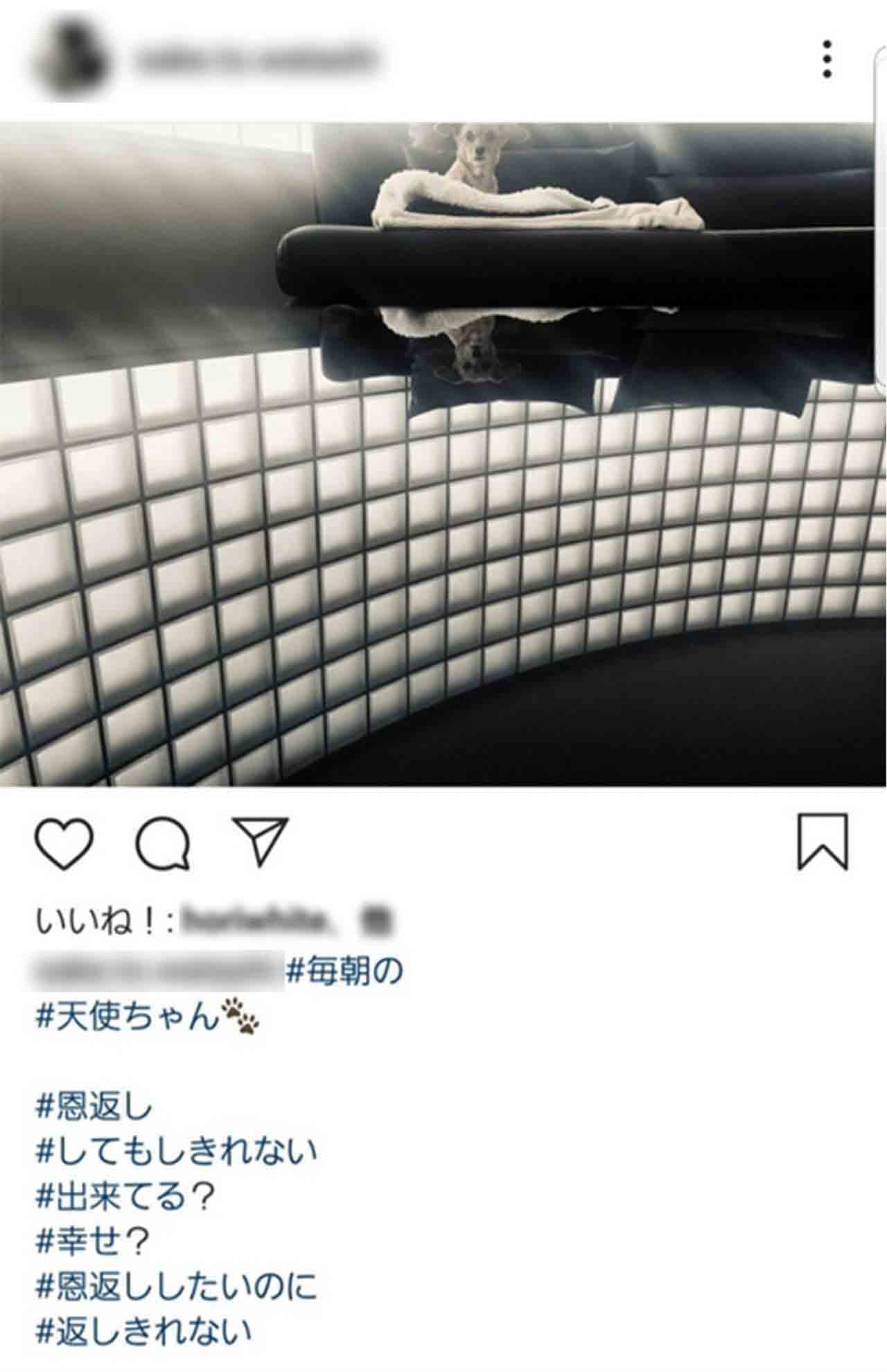 芦名星さんのものと思われるインスタグラム