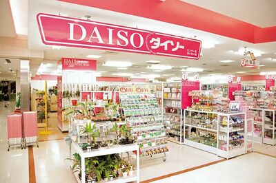 ダイソーで買うべき「550円アイテム」売り切れ続出！プロも買うアウトドアグッズや“高見え”インテリアま…