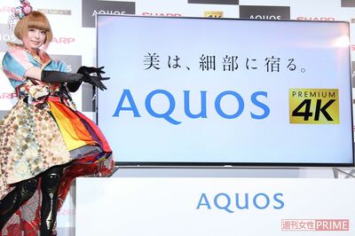 フルHDの4倍の画像美が売りの「4Kテレビって結局どうなった？」識者に聞いた、民放キー局が“一斉撤退”の…
