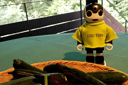 軽井沢の別荘にて、収穫した野菜とロボちゃん