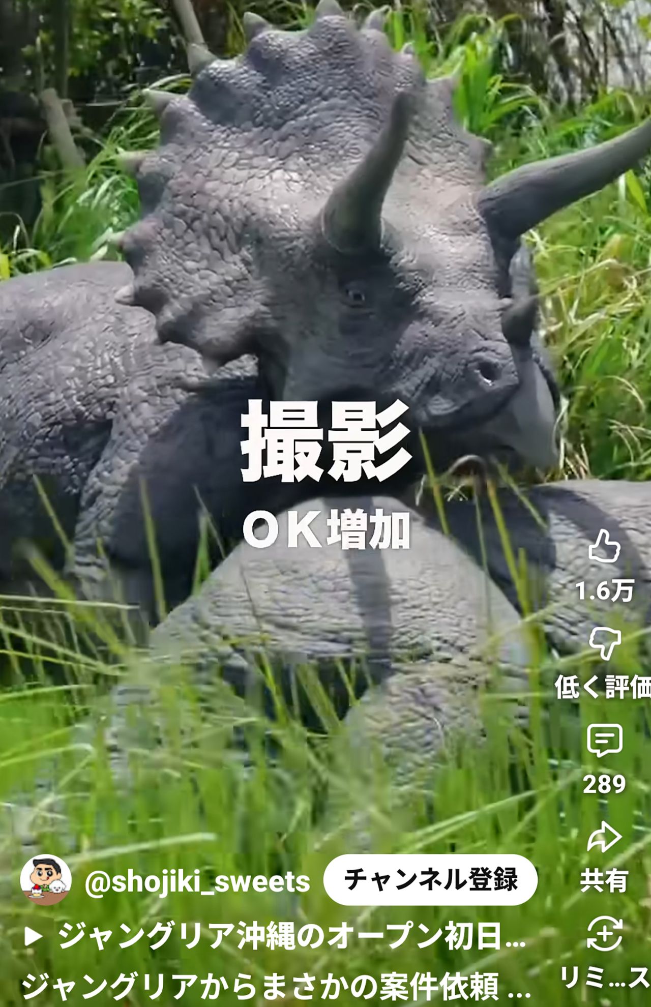 人気インフルエンサー「正直レビュー」が投稿したジャングリア沖縄の案件動画が話題（本人のYouTubeショートより）