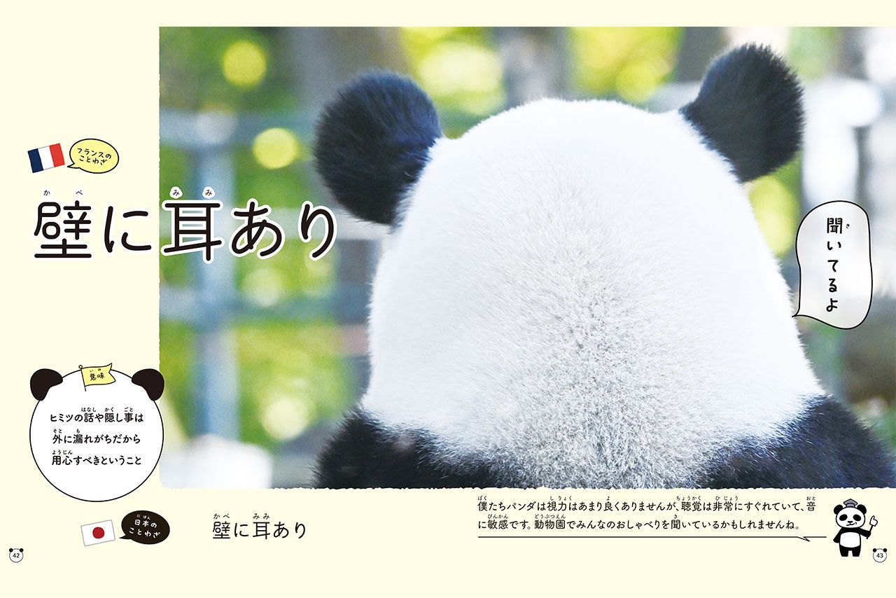 『グローバルな視点を身につけよう　パンダといっしょに学ぶ世界のことわざ』より　撮影／高氏貴博