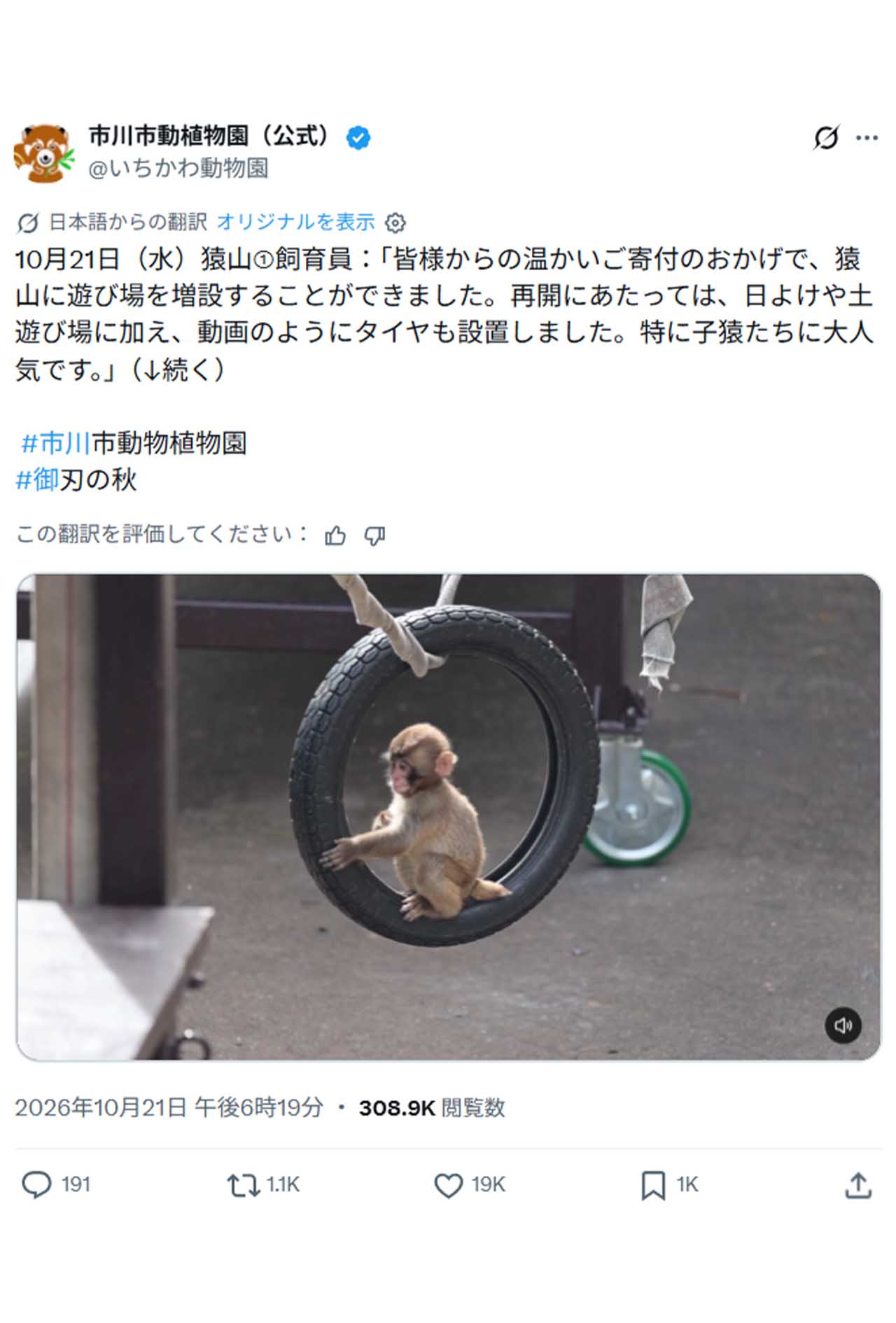 10月21日から再開したサル山。日よけや土遊び場に加えタイヤなどの遊び場も増設した（市川市動植物園公式Xより）