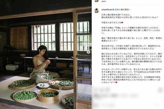 真剣な表情で梅干しづくりの作業をしているローラ。《中国さんありがとう》と梅の歴史についても綴っている（本人のインスタグラムより）