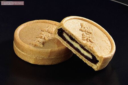 メゾンシーラカンスの「シーラカンスモナカ」　撮影／矢島泰輔