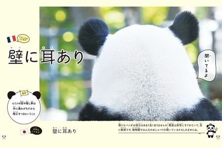 『グローバルな視点を身につけよう　パンダといっしょに学ぶ世界のことわざ』より　撮影／高氏貴博